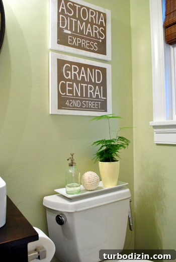 Asparagus fern in planter