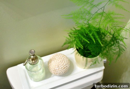 Close-up of asparagus fern