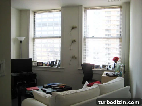 before-living-room-2 img 2937 1