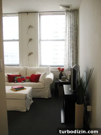 afterlivingroom1 img 2937 4