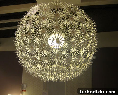 img 29389 12