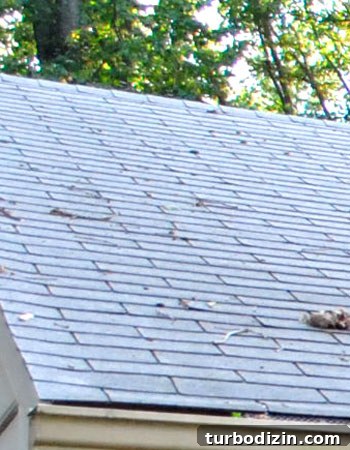 What to Know Before Getting a New Roof: Your Top Questions Answered 4 Old roof close-up 2