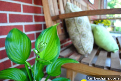 Front porch with colorful plants
