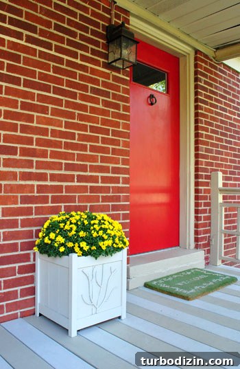 Mums on porch