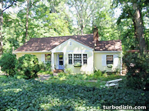 Cottage in the Woods: A Complete Guide to House Hunting 2 img 29742 1