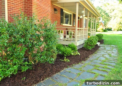 Cleaning and Mulching to Stage Our Home for Sale 4 img 29974 3