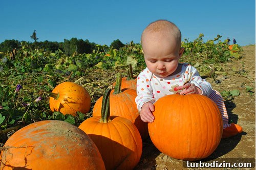 Baby Handprint Pumpkin Craft for Halloween Keepsake 3 Toddler picking a pumpkin