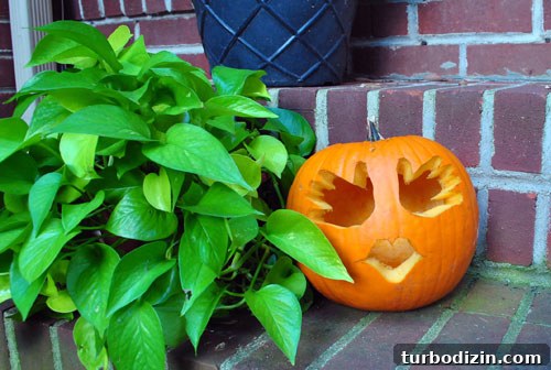 Baby Handprint Pumpkin Craft for Halloween Keepsake 8 Cut out pumpkin face