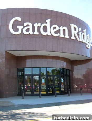 Window Shopping at Garden Ridge: What to Expect and Top Finds 2 Garden Ridge store display