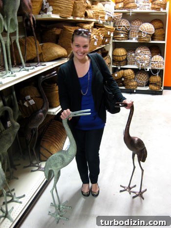 Window Shopping at Garden Ridge: What to Expect and Top Finds 4 Metal herons garden decor