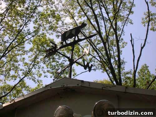 What We'll Miss Most About Our First Home 4 cow weather vane