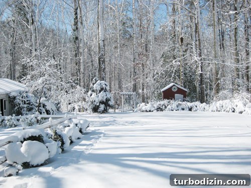 What We'll Miss Most About Our First Home 7 snowy yard