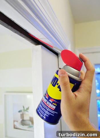 Lubricating pocket door track