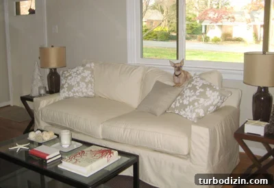 Introducing Our New Living Room Sofa: Styles, Comfort & Buyer's Guide 2 img 306 1