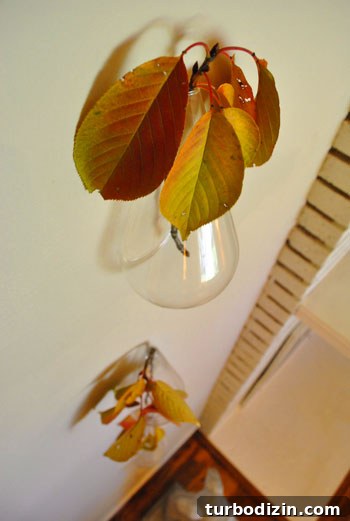 Close-up of branches in hanging vases
