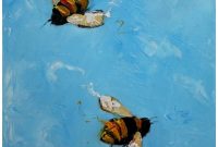 John’s Bee-Day Surprise Gift Guide