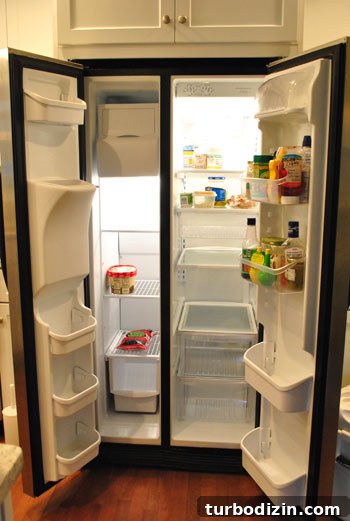 How to Use Everything in Your Fridge Before Moving 3 img 31365 2