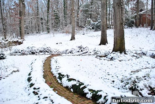 Fresh Home Makeover: Stylish Ideas for Modern Living 22 Snowy backyard