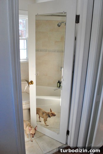 Raise Your Shower Curtain: Simple Tips for a Higher Rod Placement 6 img 31483 5