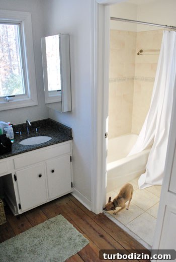How to Hang a Bathroom Mirror in Front of a Window 4 img 31896 3