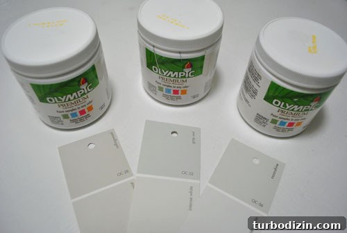 How to Choose the Perfect Gray Paint Color for Your Home 2 testing three Benjamin Moore gray paint options mixed in Olympic paint test cans - Collingswood Grey Owl and Moonshine