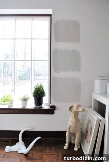 How to Choose the Perfect Gray Paint Color for Your Home 5 three Benjamin Moore gray paint options painted as test squares on a white wall with wood trim