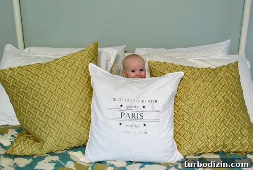 Dog hiding behind pillows