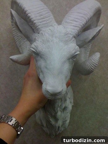How to Choose a Ceramic Ram Wall Sculpture for Your Home 3 tj maxx dressing room photo of resin ram head