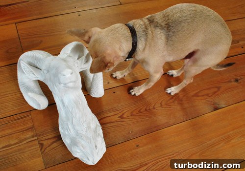 How to Choose a Ceramic Ram Wall Sculpture for Your Home 7 dog sniffing resin ram head