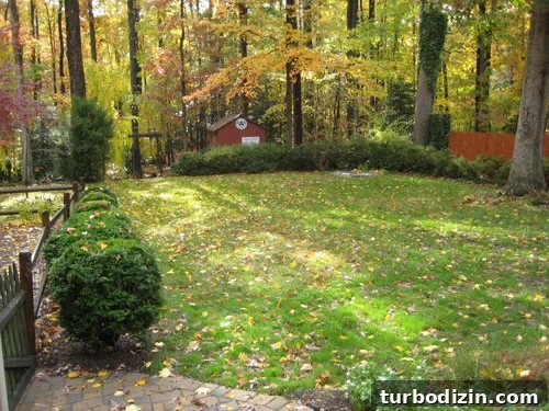 Transformed yard