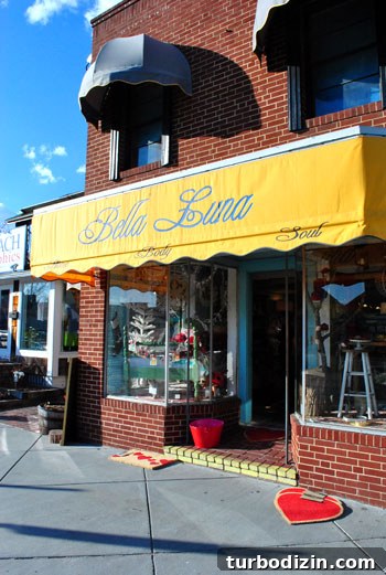 Shopping and Thrifting Guide to Rehoboth Beach, Delaware 8 img 33286 7