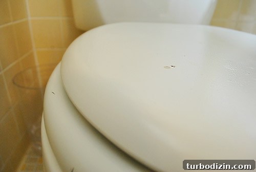 Guests Can Now Shower: Updated Bathroom Amenities and Access 7 img 33446 6