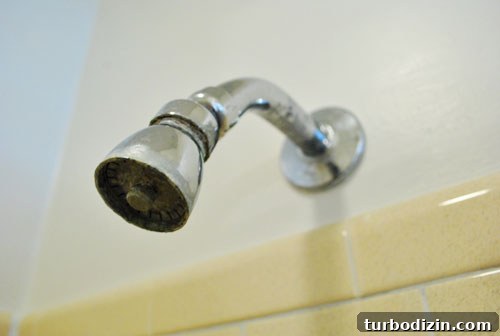 Guests Can Now Shower: Updated Bathroom Amenities and Access 8 img 33446 8