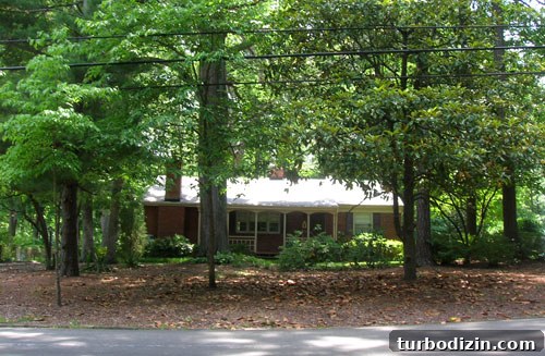 How Tree Limbing Restores Your View of the House 3 After clipping