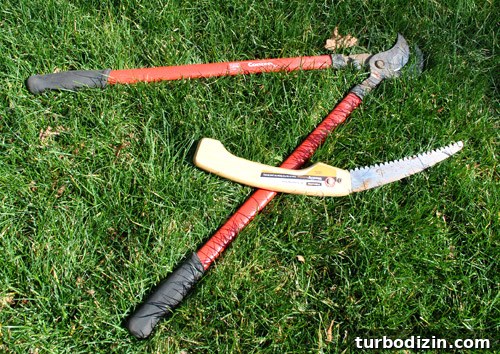 How Tree Limbing Restores Your View of the House 7 Tools used