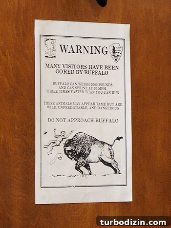 Yellowstone buffalo warning
