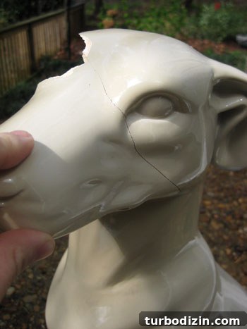 Heartbroken Over My Broken Ceramic Dog: How I Repaired It and Saved the Memories 5 img 34689 4