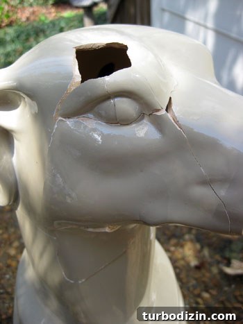 Heartbroken Over My Broken Ceramic Dog: How I Repaired It and Saved the Memories 8 img 34689 7