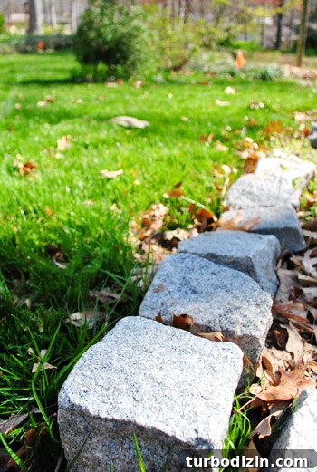 Tour Our New Home: Exterior Design and Curb Appeal Reveal 15 img 34934 14