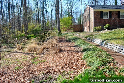 Tour Our New Home: Exterior Design and Curb Appeal Reveal 8 img 34934 7