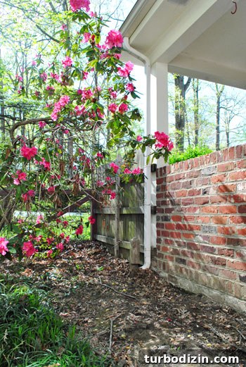 Install a Rain Barrel: Step-by-Step Guide for Your Garden 6 Checking spigot height