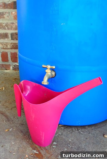 Install a Rain Barrel: Step-by-Step Guide for Your Garden 7 Cutting downspout