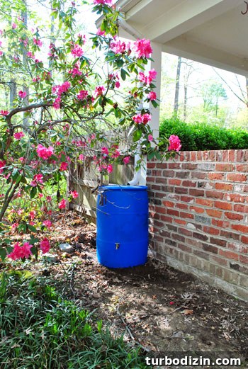 Install a Rain Barrel: Step-by-Step Guide for Your Garden 10 Blue barrel by house