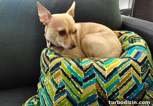DIY Pillow From Two Cloth Napkins: Quick Sewing Project 6 img 35275 5