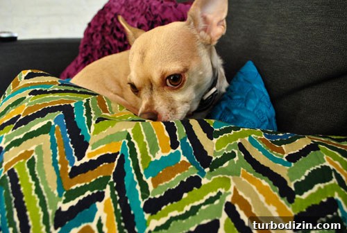 DIY Pillow From Two Cloth Napkins: Quick Sewing Project 7 img 35275 6