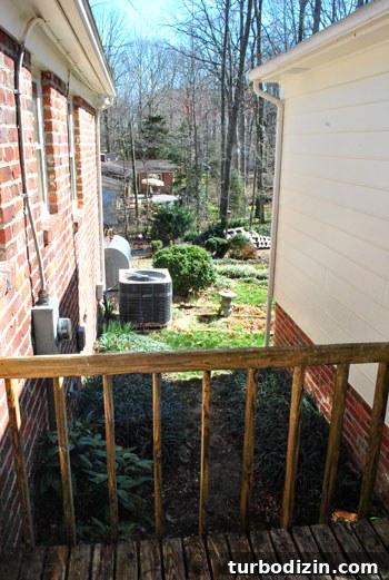 Plant Leyland Cypress Trees to Create a Privacy Hedge 2 img 35387 1