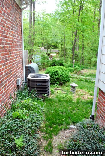 Plant Leyland Cypress Trees to Create a Privacy Hedge 3 img 35387 2
