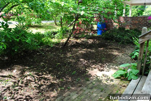 Cleared patio area 2