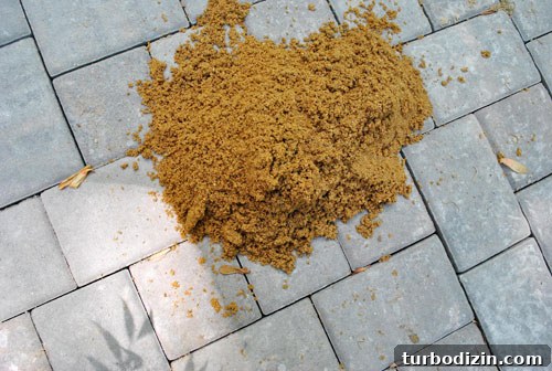 Build a Durable Paver Patio: Step-by-Step Guide for Success 12 img 35853 14