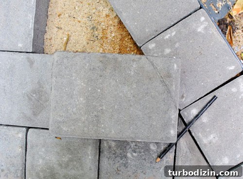 Build a Durable Paver Patio: Step-by-Step Guide for Success 5 img 35853 4